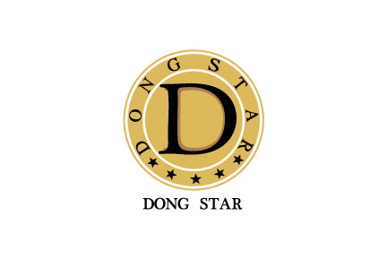 Dong star logo